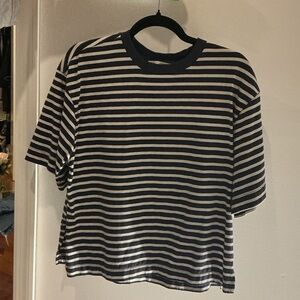 Zara Navy and White Striped Tee